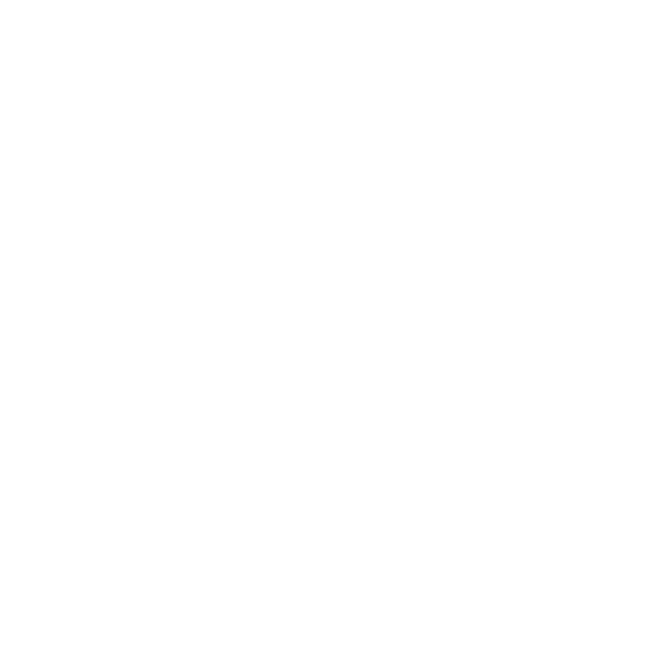 Prince Technique